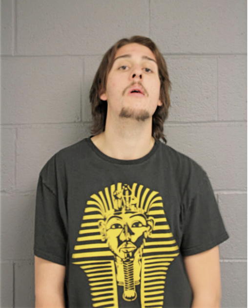 NICHOLAS R PITTS, Cook County, Illinois