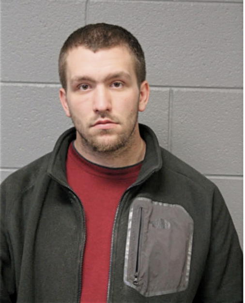 DAVID J RENINGER, Cook County, Illinois