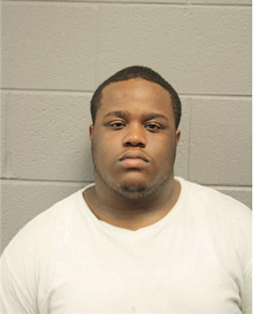 MICHEAL J ROBINSON, Cook County, Illinois