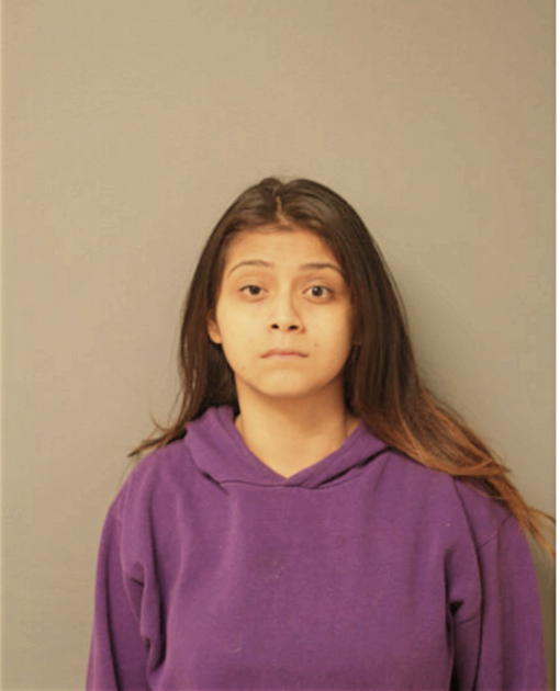 IRIS G RUIZ, Cook County, Illinois