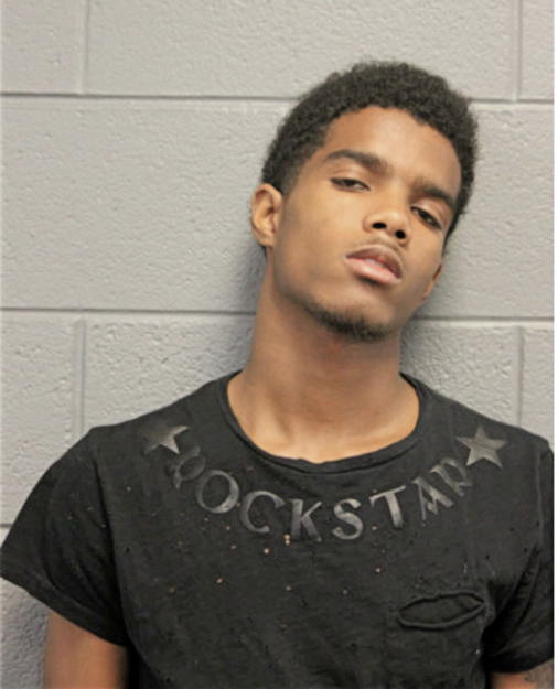 RYAN R SANDERS, Cook County, Illinois