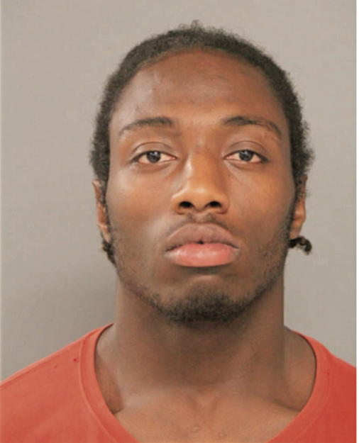 DEANDRE D WILLIAMS, Cook County, Illinois