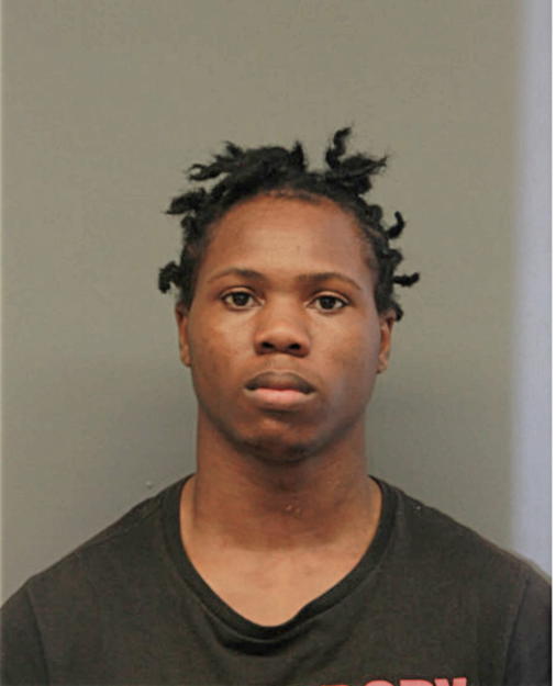 CHRISTOPHER D WOODARD, Cook County, Illinois