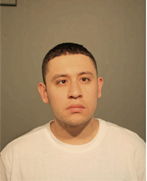 ADRIAN BANVELO, Cook County, Illinois