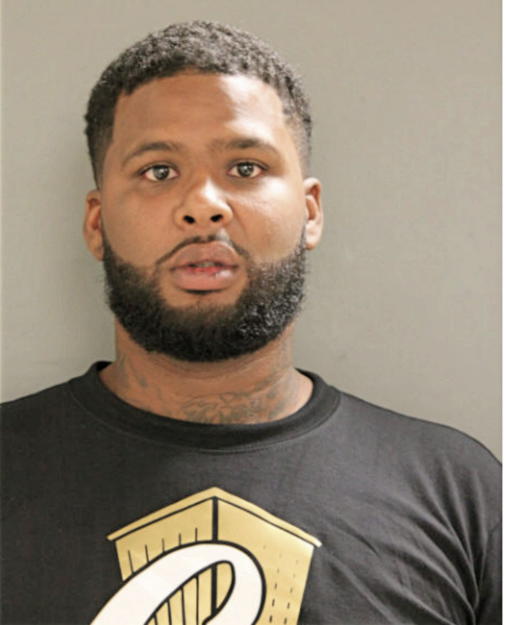 DAVID T BRADLEY, Cook County, Illinois