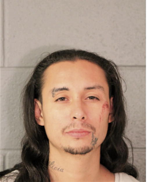 ANDRES CASTRO, Cook County, Illinois