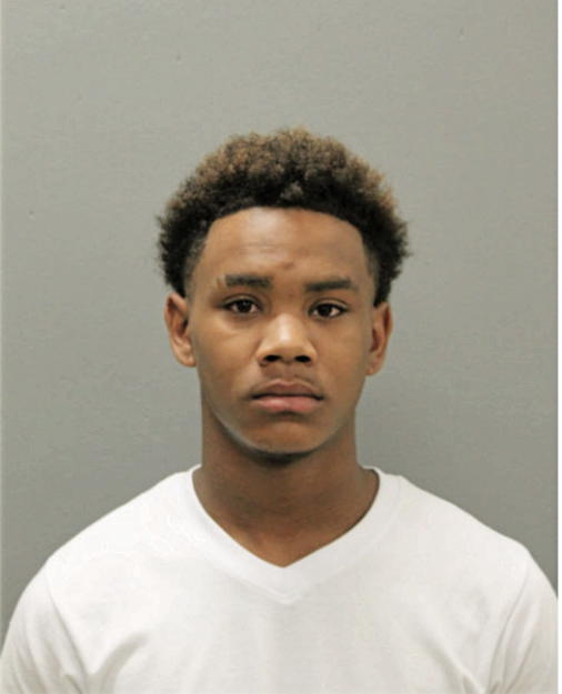 DANIEL L CHRYSTAL, Cook County, Illinois