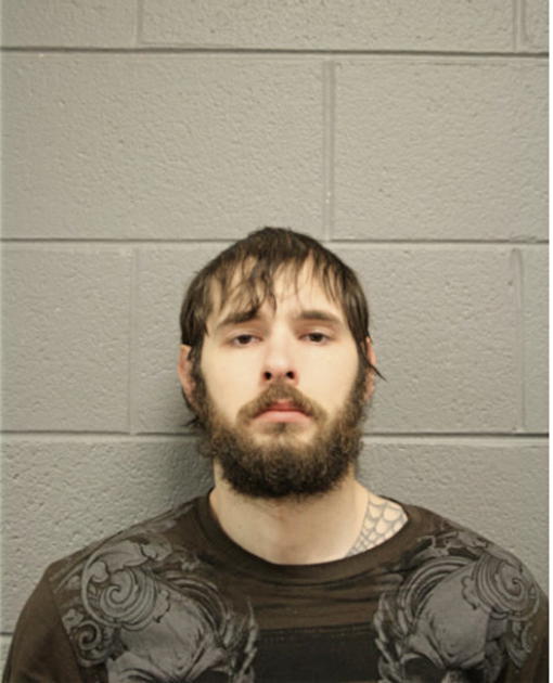 DANIEL J ESTRADA, Cook County, Illinois