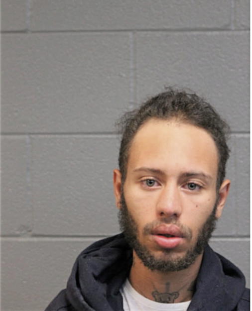 NICHOLAS J GRADY, Cook County, Illinois