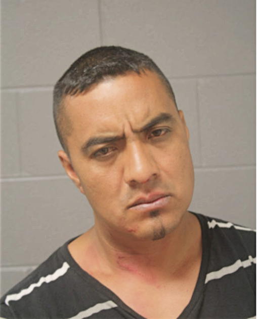 LAZAO GUZMAN-LEYVA, Cook County, Illinois