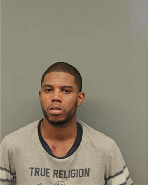 BRIAN T HESTER, Cook County, Illinois