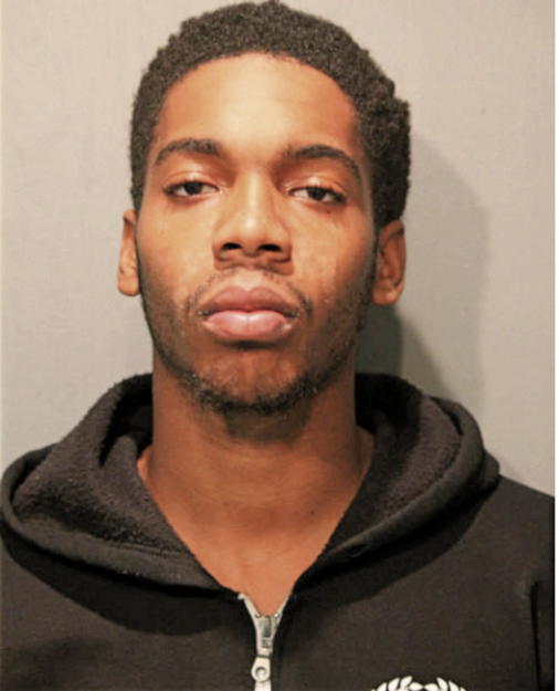 DAVID L JONES, Cook County, Illinois