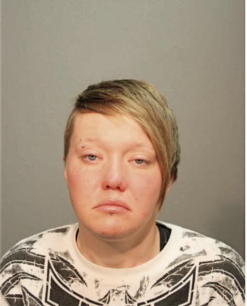 ANNETTE K LEDEN, Cook County, Illinois