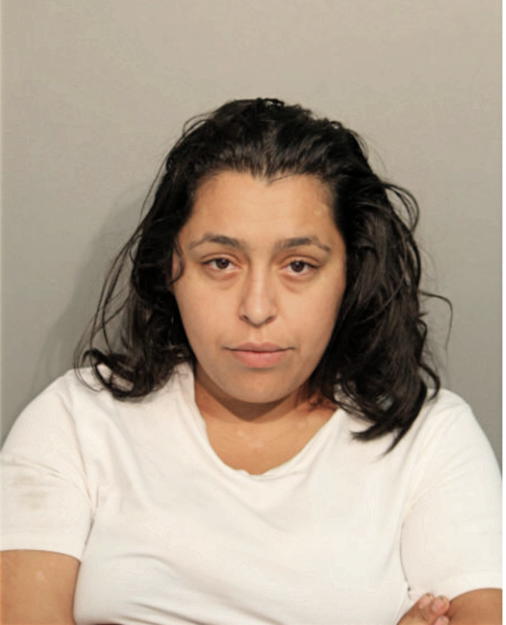 MELISSA C LEWIS, Cook County, Illinois