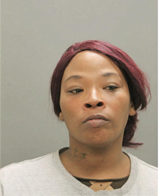 NIESHA N LONG, Cook County, Illinois