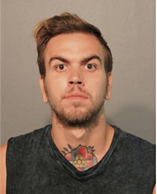 TYLER A MANEY, Cook County, Illinois