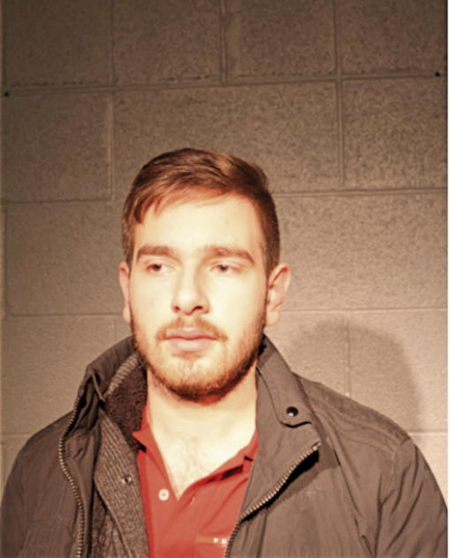 DAMIR MILOS, Cook County, Illinois