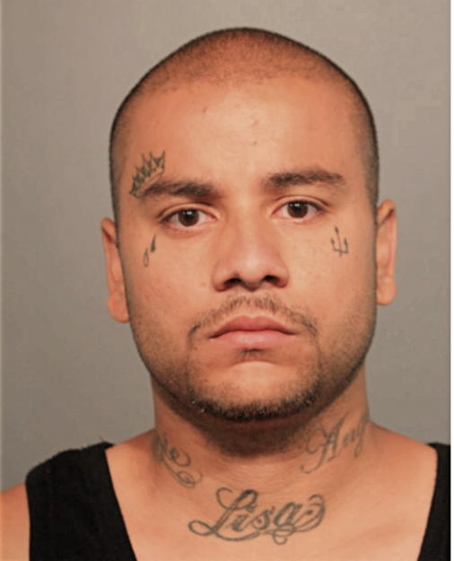 ANGEL ROSARIO, Cook County, Illinois