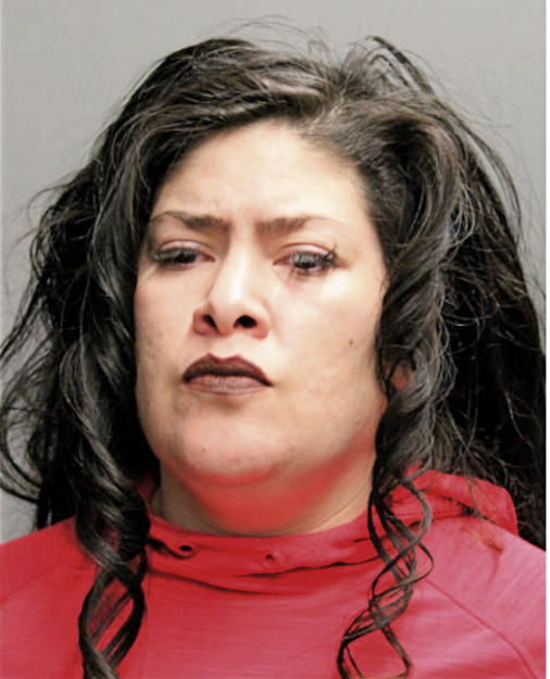 REBECCA M ROSAS, Cook County, Illinois