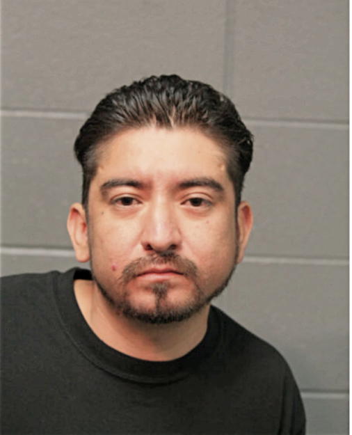 CESAR D RUGERIO-MIRANDA, Cook County, Illinois