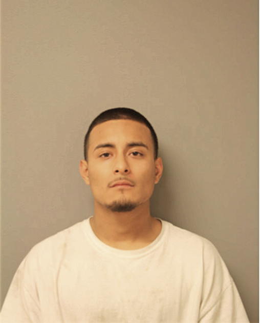 JUAN D RUIZ, Cook County, Illinois