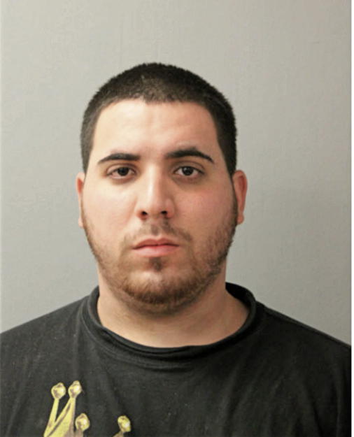 BRYAN SANCHEZ-TOLEDO, Cook County, Illinois