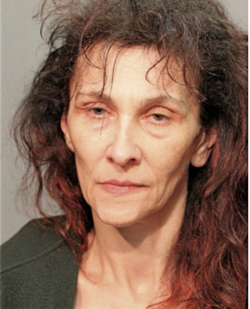 SLAVICA SIMIC, Cook County, Illinois