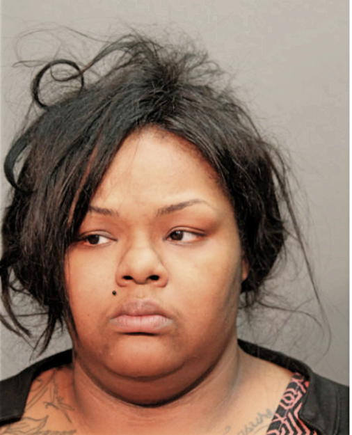 ASHLEY L WHITE, Cook County, Illinois