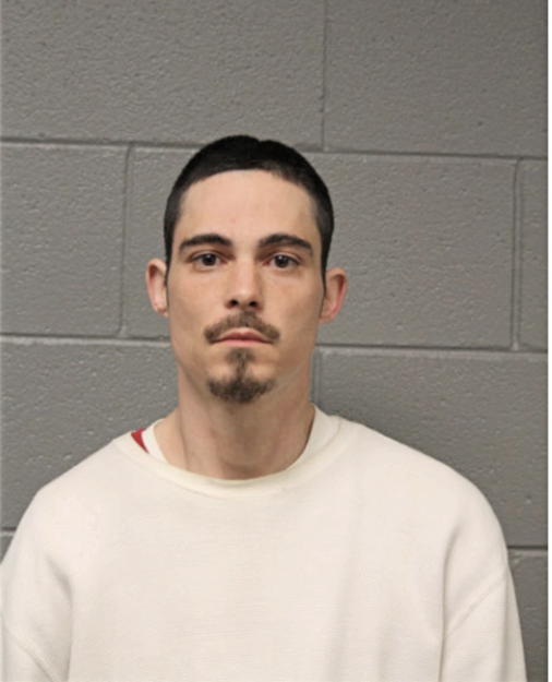 HECTOR A ACEVEDO, Cook County, Illinois