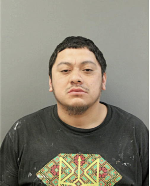 CELESTINO BANUELOS, Cook County, Illinois