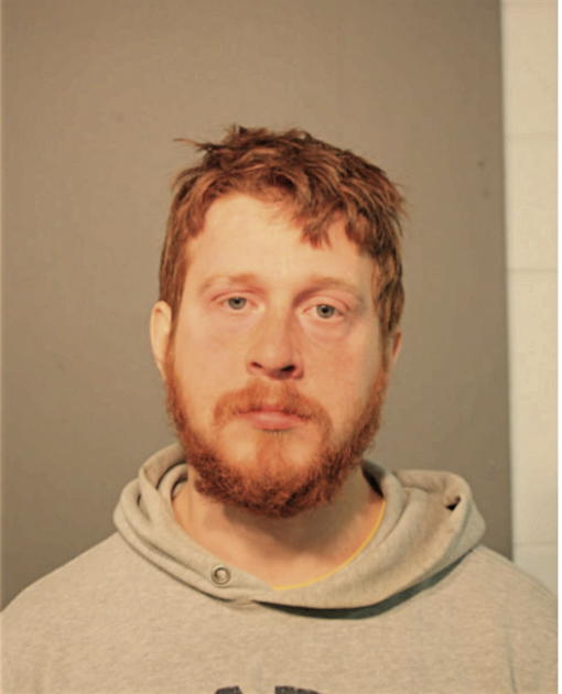RYAN BRANDIS, Cook County, Illinois