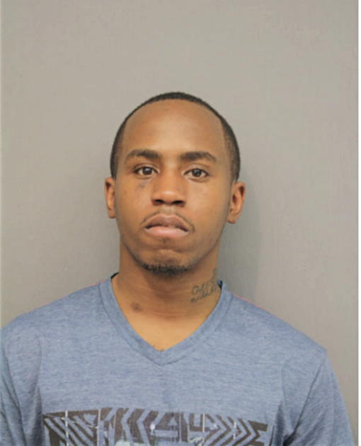 GAVIN M BROWN, Cook County, Illinois