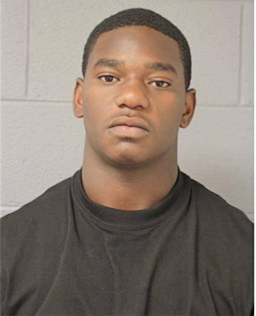 MICHAEL A BURCH, Cook County, Illinois