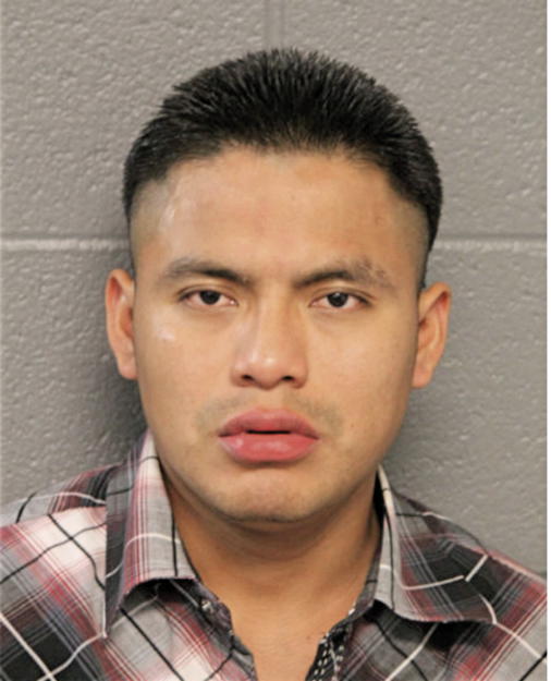 ALVARO ARNOLDO CAAL-CAAL, Cook County, Illinois