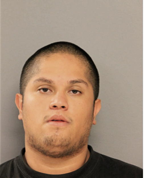 LUIS E CAMARGO, Cook County, Illinois