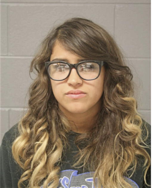 ANGELA M CASTANON, Cook County, Illinois