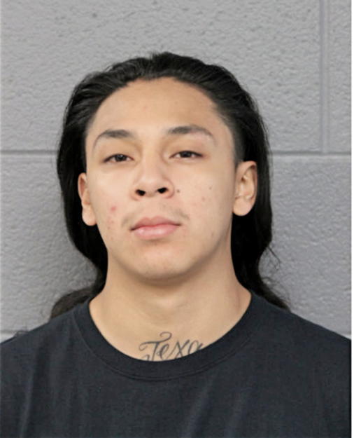 CESAR A CRUZ, Cook County, Illinois