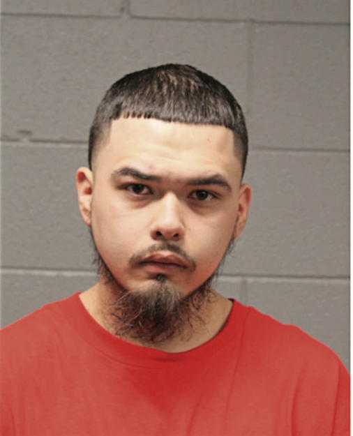 DANIEL A DIAZ, Cook County, Illinois