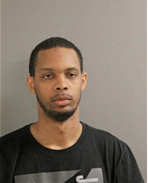 NIGEL L ELLISON, Cook County, Illinois