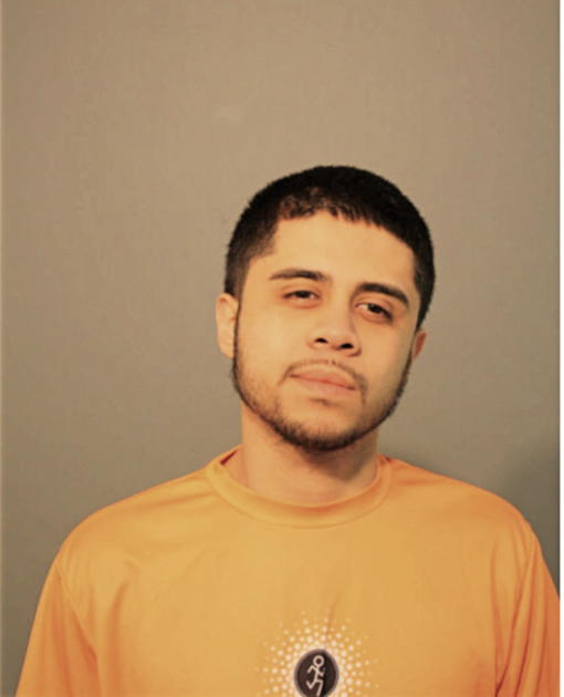 LOUIS A GARCIA, Cook County, Illinois