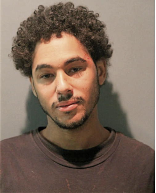 DANIEL A HARRIS, Cook County, Illinois