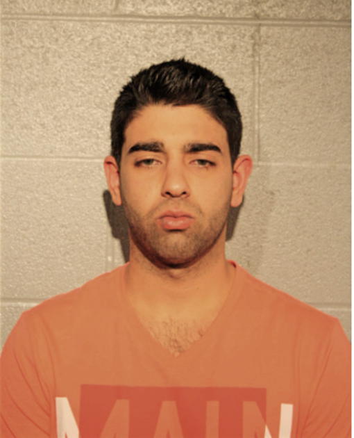STUART S ISHAY, Cook County, Illinois