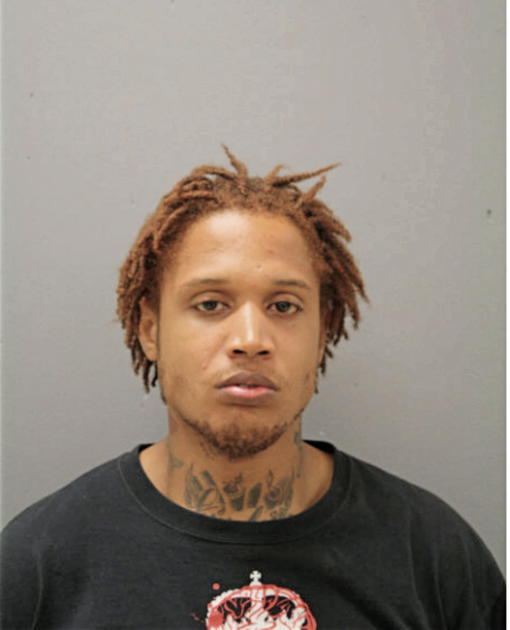 MICHAEL SC MARTELL NEAL, Cook County, Illinois