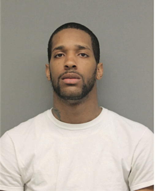 BRYAN J MITCHELL, Cook County, Illinois
