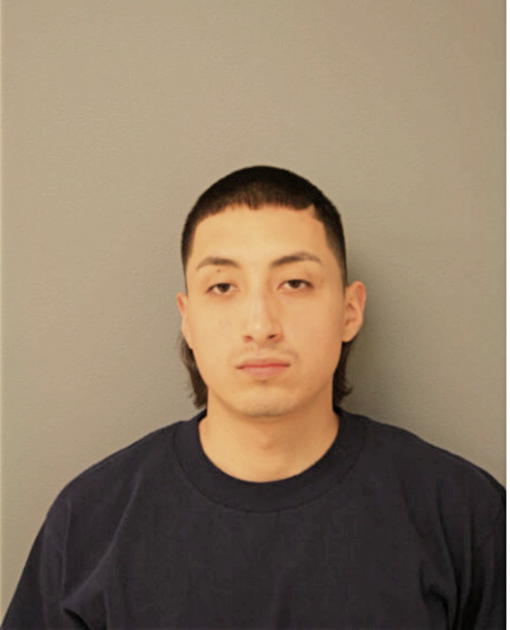 ALEJANDRO ORTIZ, Cook County, Illinois