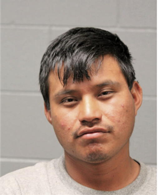 FRANCISCO PEREZ-TORRES, Cook County, Illinois