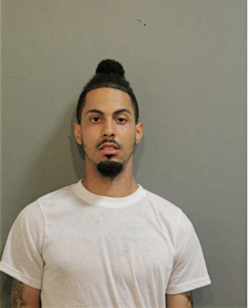 JAMIE PURCHES, Cook County, Illinois