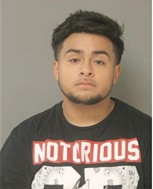 EDGAR E RAMIREZ, Cook County, Illinois