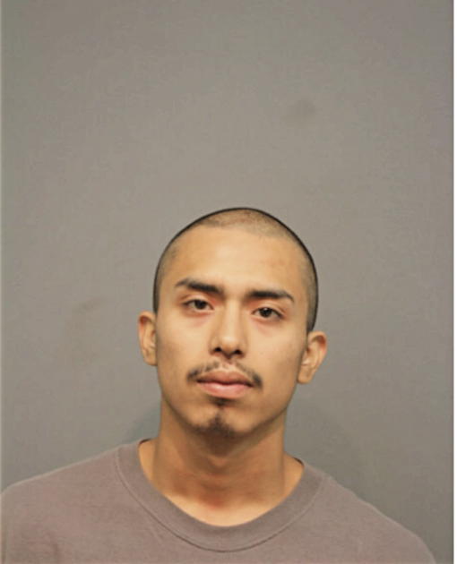 DIEGO VAZQUEZ, Cook County, Illinois