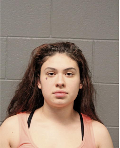 GABRIELA WAY, Cook County, Illinois